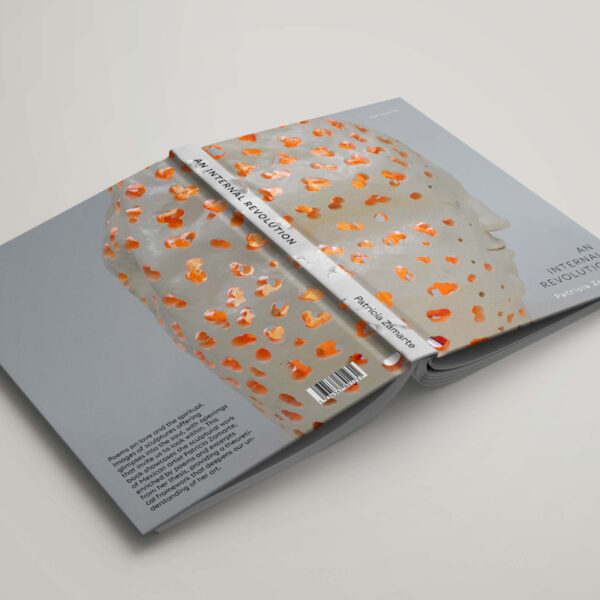 An Internal Revolution - Image 6