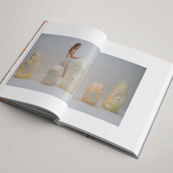An Internal Revolution - Image 2