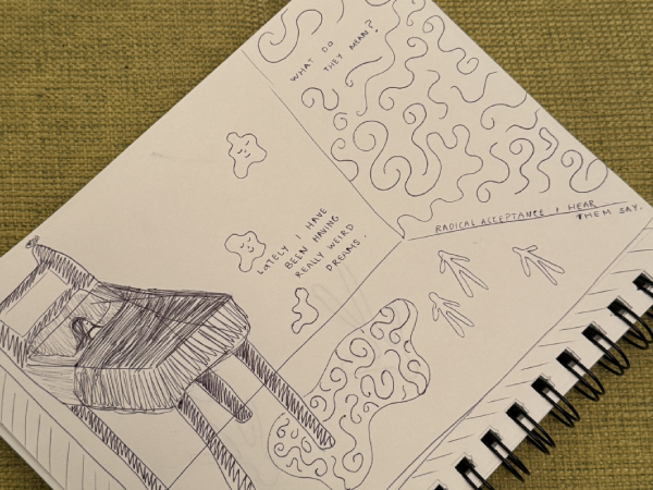 zamarte_explorations_03