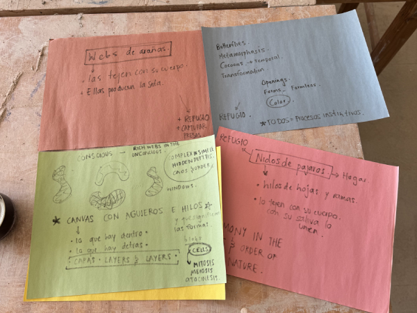 zamarte_explorations_07